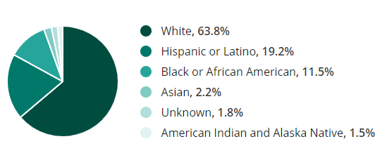 construction workforce demographics by race